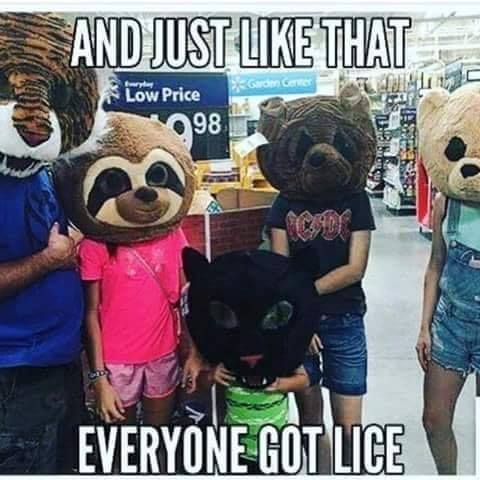 just like that they all had lice - And Just That Gerom Germe Low Price 98 Everyone Got Lice