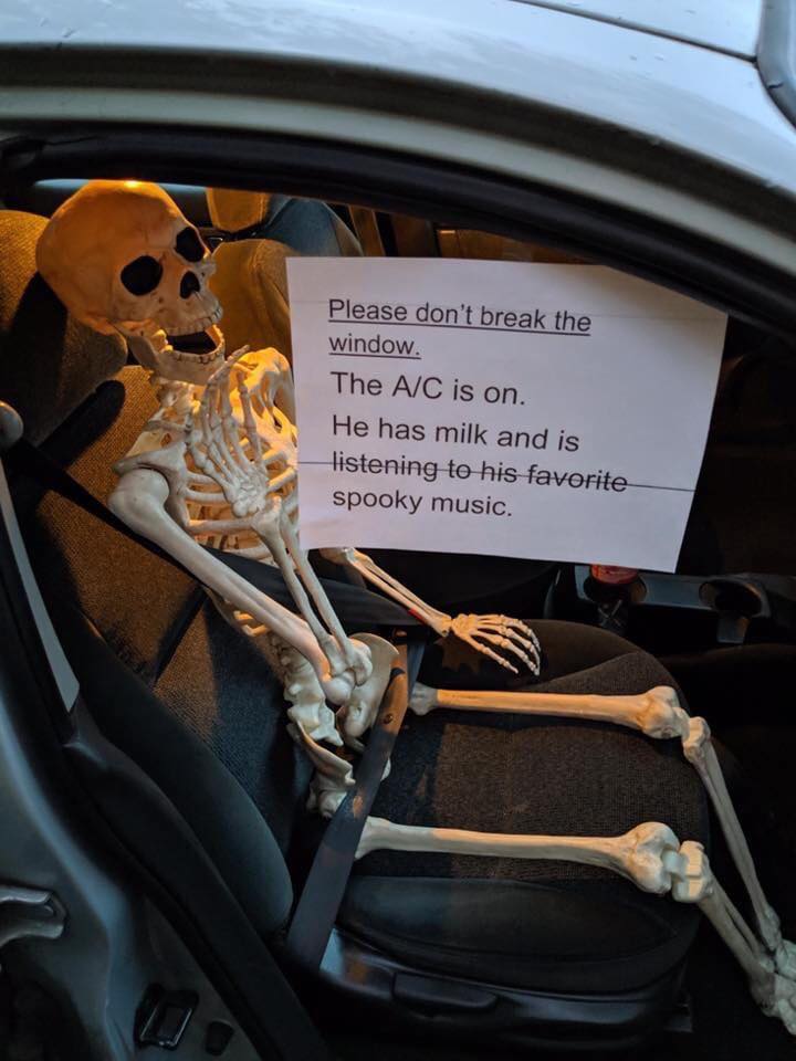 car - Please don't break the window. The AC is on. He has milk and is listening to his favorite spooky music.