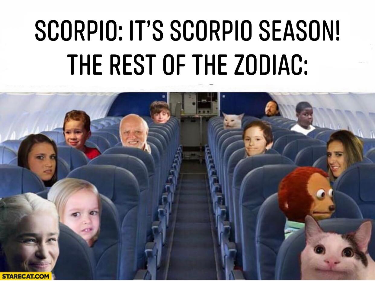 passengers when a baby enters the plane - Scorpio It'S Scorpio Season! The Rest Of The Zodiac Starecat.Com