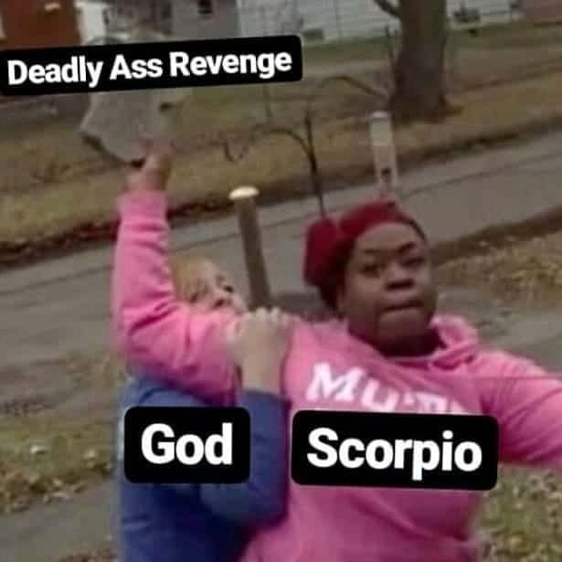 scorpio memes - Deadly Ass Revenge Mu God Scorpio