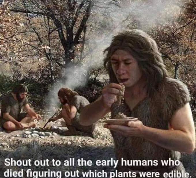 shout out to all the early humans - Shout out to all the early humans who died figuring out which plants were edible.