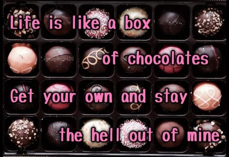 eye shadow - Life is a box so of chocolates greuglere420 Get your own and stay the hell out of mine