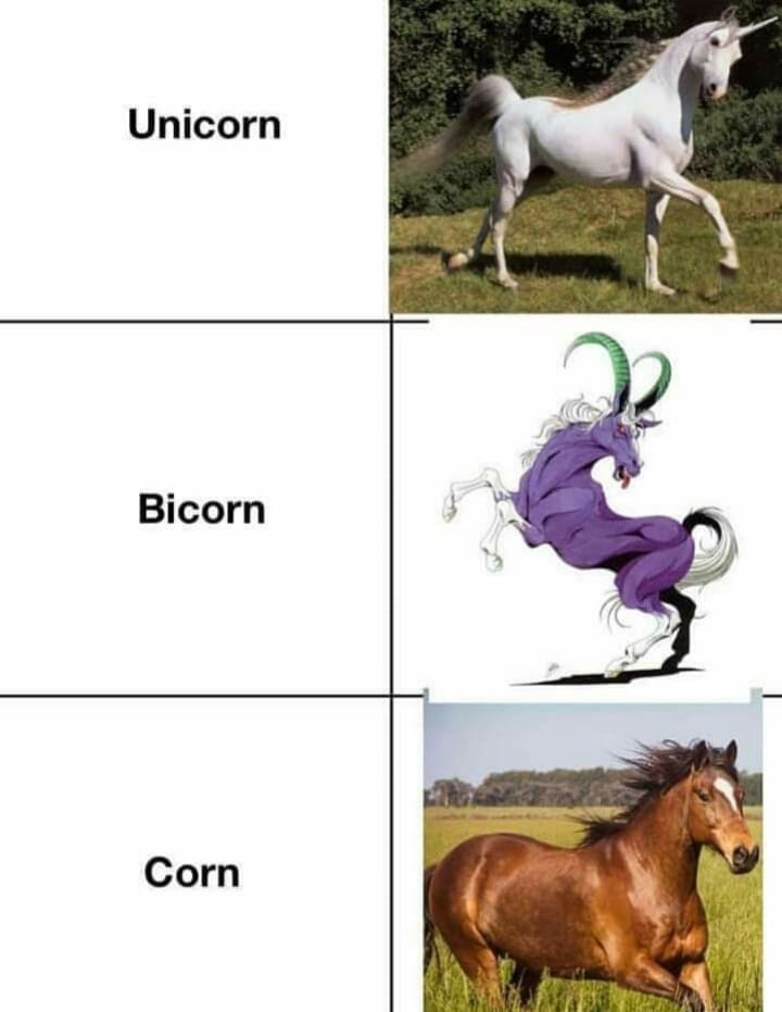Unicorn Bicorn Corn
