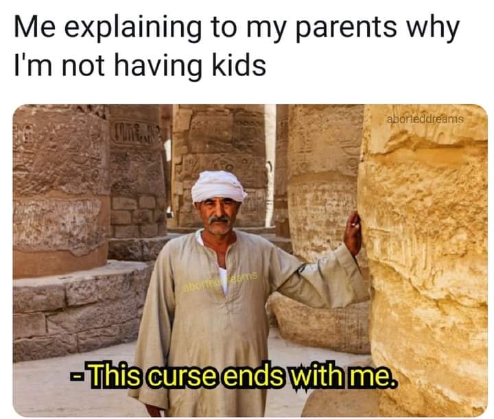 curse ends with me - Me explaining to my parents why I'm not having kids aborteddreams abortecdem This curse ends with me.
