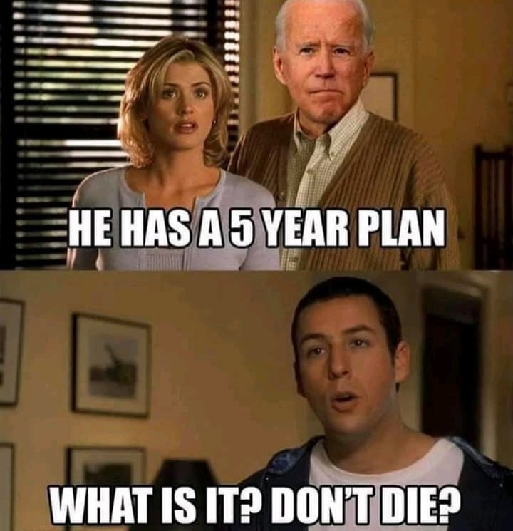 he has a 5 year plan meme - He Has A 5 Year Plan What Is It? Dont Die?