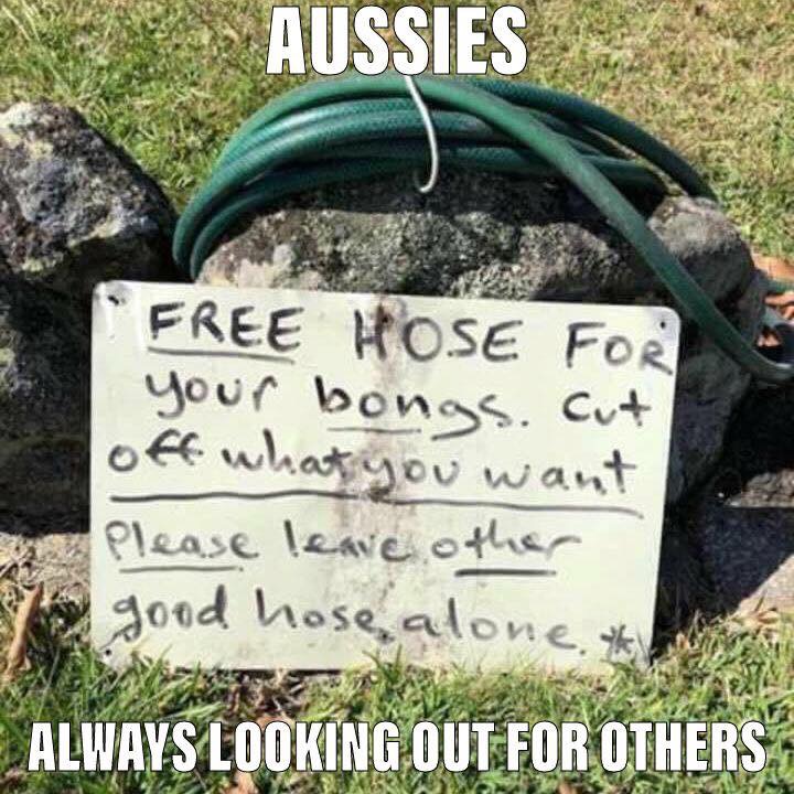 grave - Aussies Free Hose For your bongs.cut off what you want Please leave other good hose alone. th Always Looking Out For Others