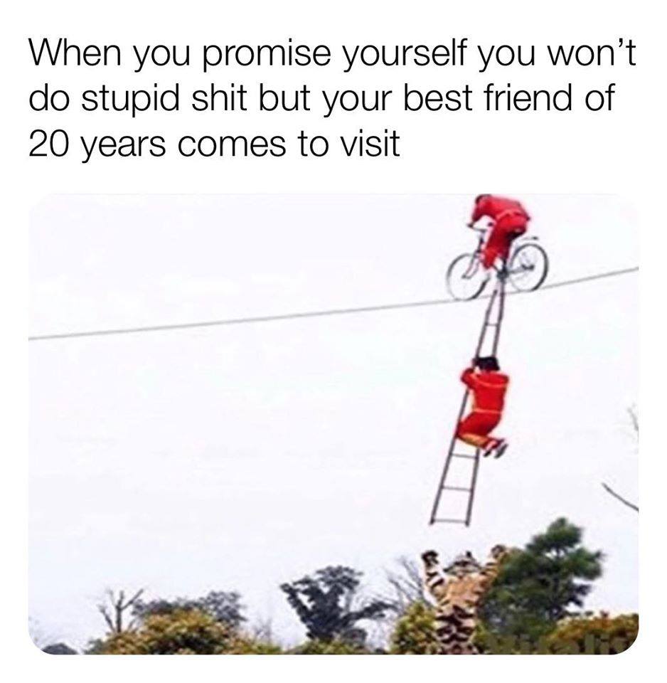 you promise yourself you won t do anything stupid - When you promise yourself you won't do stupid shit but your best friend of 20 years comes to visit