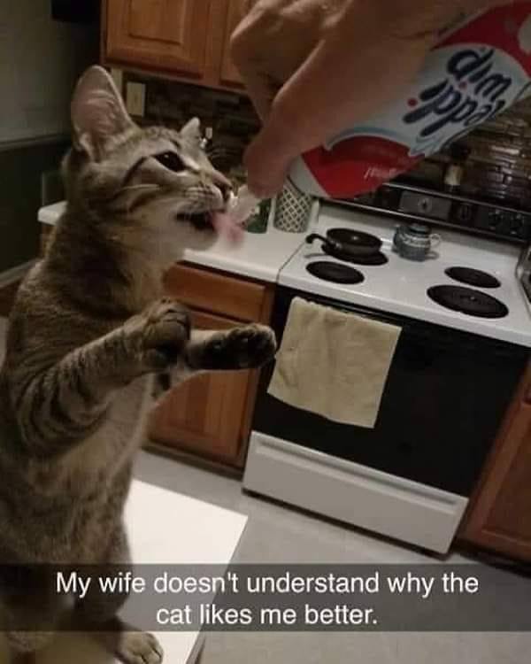 cat snapchat - pp dim My wife doesn't understand why the cat me better.
