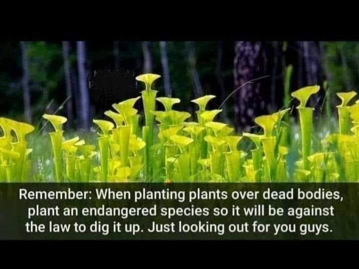 remember when planting plants over dead bodies - Remember When planting plants over dead bodies, plant an endangered species so it will be against the law to dig it up. Just looking out for you guys.