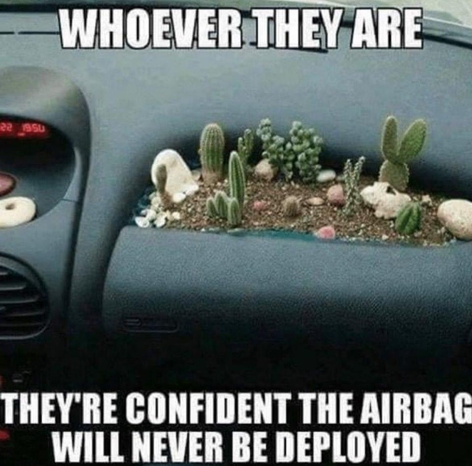 cactus airbag - Whoever They Are 22 Ssu They'Re Confident The Airbag Will Never Be Deployed