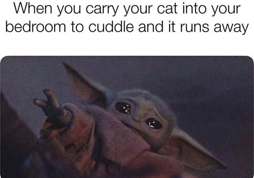 baby yoda indigenous meme - When you carry your cat into your bedroom to cuddle and it runs away