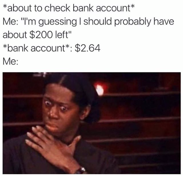 funny acnh memes - about to check bank account Me "I'm guessing I should probably have about $200 left" bank account. $2.64 Me