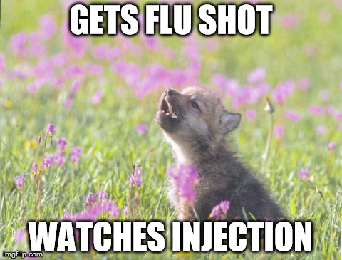 insanity wolf cub - Gets Flu Shot Watches Injection imgflip.com
