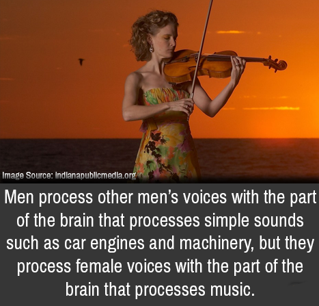 violinist - Image Source Indianapublicmedia.org Men process other men's voices with the part of the brain that processes simple sounds such as car engines and machinery, but they process female voices with the part of the brain that processes music.