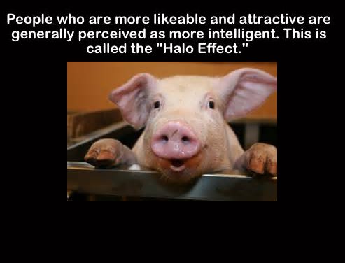 healthy pig - People who are more able and attractive are generally perceived as more intelligent. This is called the "Halo Effect."