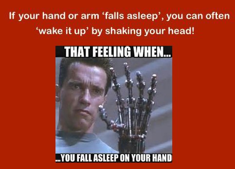 terminator hand scene - If your hand or arm 'falls asleep', you can often 'wake it up' by shaking your head! That Feeling When... ...You Fall Asleep On Your Hand