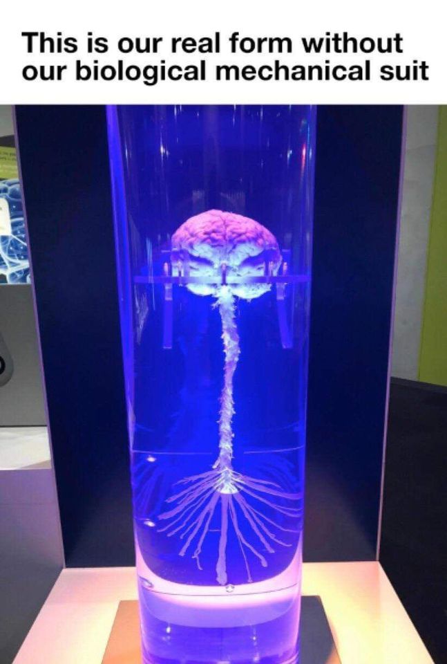 spinal cord attached to brain - This is our real form without our biological mechanical suit