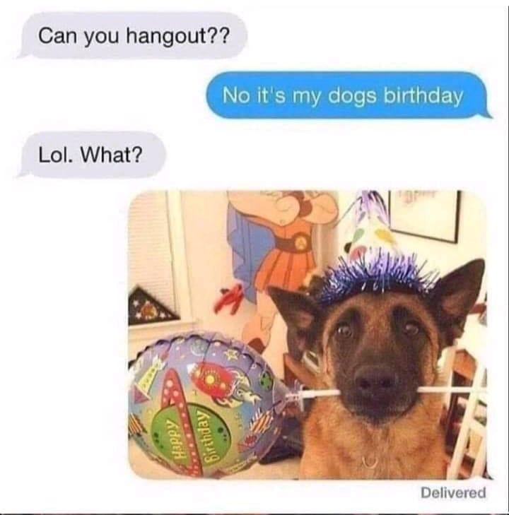 my dog's birthday - Can you hangout?? No it's my dogs birthday Lol. What? Happy Birthday Delivered