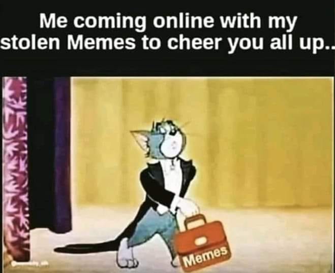 me coming with memes - Me coming online with my stolen Memes to cheer you all up.. Memes