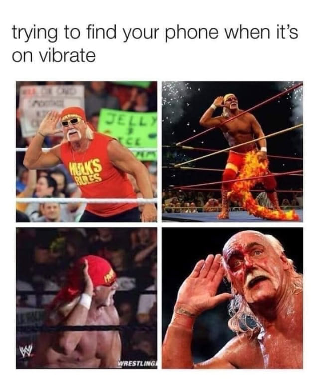 hulk hogan - trying to find your phone when it's on vibrate Jelli Melk'S Rces Wrestling