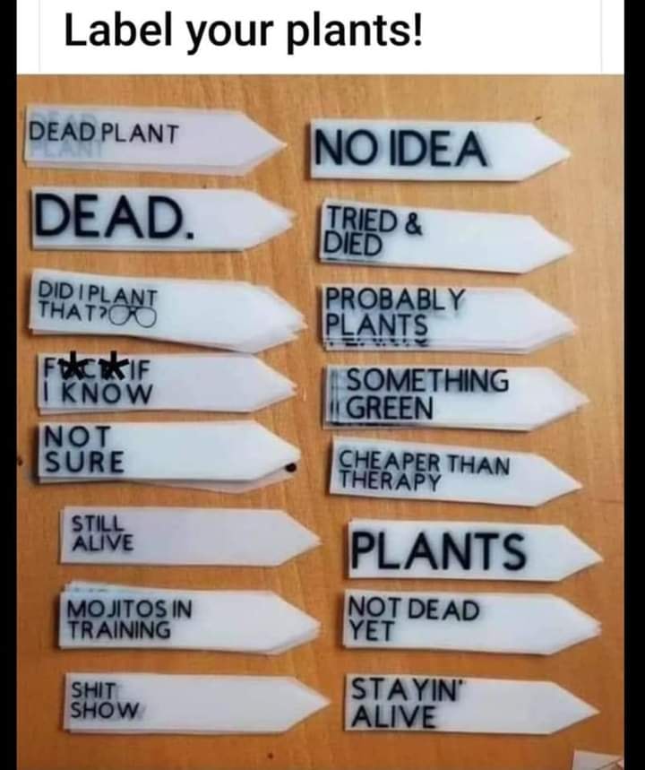 label - Label your plants! Dead Plant Ino Idea Dead Tried & Died Did I Plant That? Probably Plants Ferie I Know Not Sure Something Green Cheaper Than Therapy Still Alive Plants Mojitos In Training Not Dead Yet Shit Show Stayin' Alive