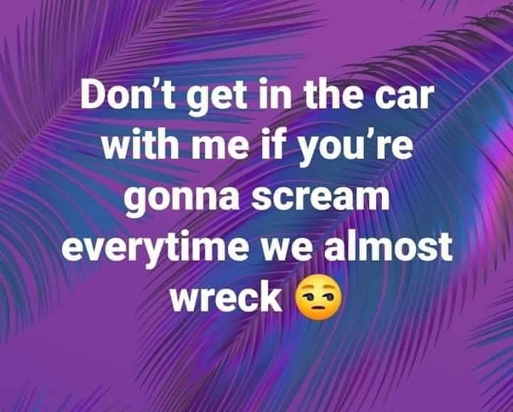 don t get in the car with me if you re going to scream - Don't get in the car with me if you're gonna scream everytime we almost wreck