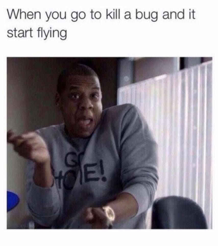 funny relatable memes - When you go to kill a bug and it start flying Oe