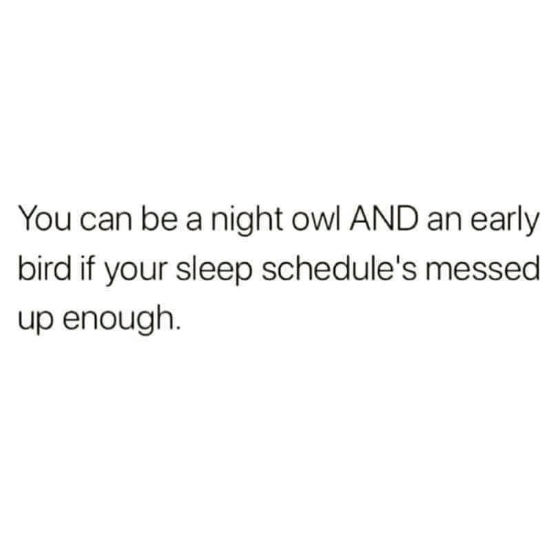 depression memes funny relatable - You can be a night owl And an early bird if your sleep schedule's messed up enough