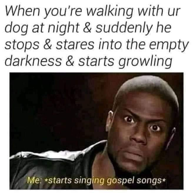 takes credit meme - When you're walking with ur dog at night & suddenly he stops & stares into the empty darkness & starts growling Me starts singing gospel songs