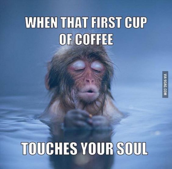 funny coffee memes - When That First Cup Of Coffee Via 9GAG.Com Touches Your Soul