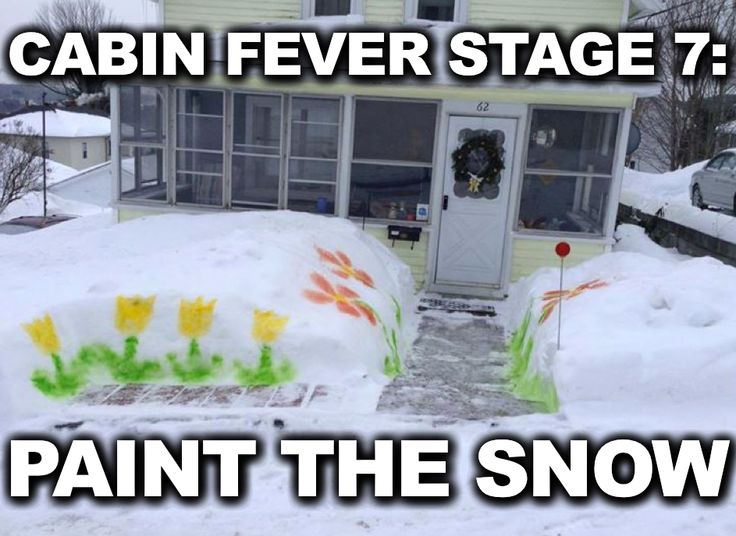 over winter meme - Cabin Fever Stage 7 62 fil Paint The Snow