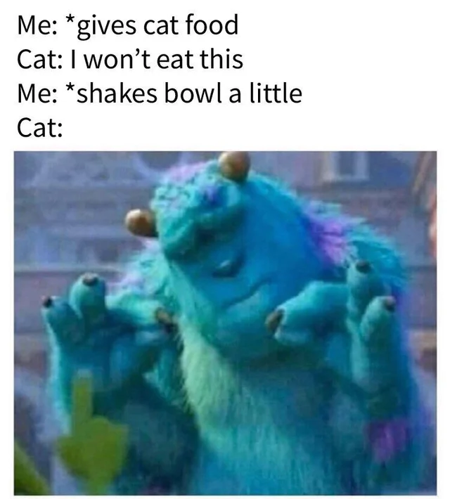 monster inc meme - Me gives cat food Cat I won't eat this Me shakes bowl a little Cat
