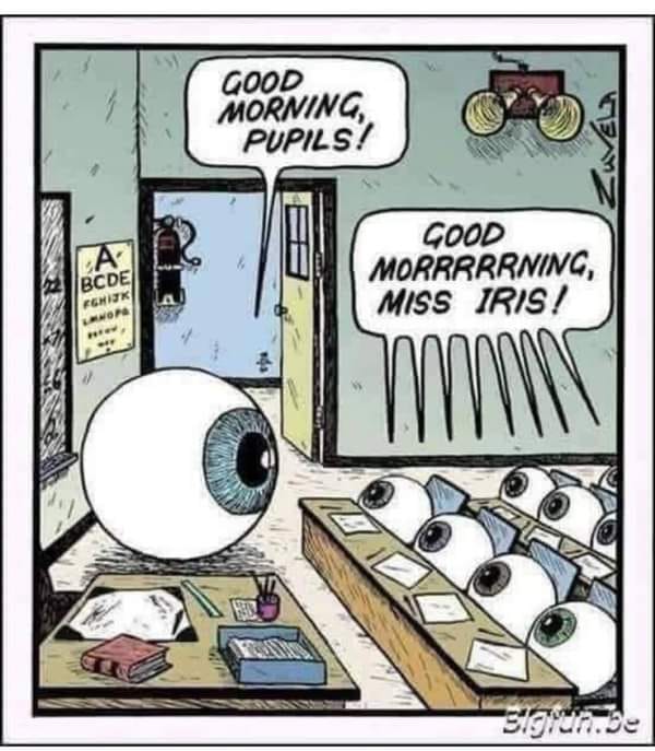 eye joke - Good Morning Pupils ? Bcde Fghijk Good Morrrrrning, Miss Iris! Slgiun.be