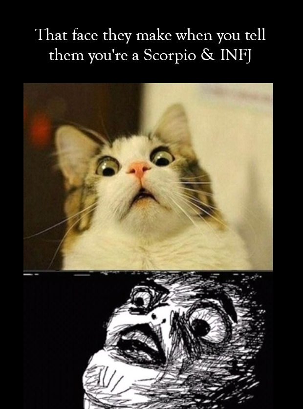 she's onto me - That face they make when you tell them you're a Scorpio & Infj