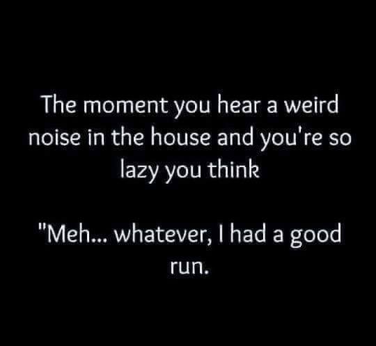 don t wanna miss a thing - The moment you hear a weird noise in the house and you're so lazy you think "Meh... whatever, I had a good run.