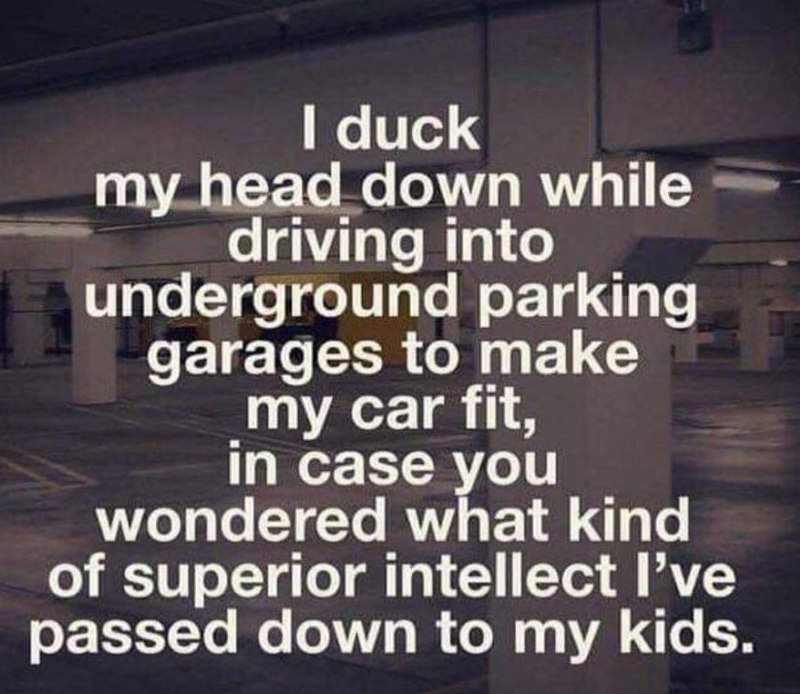 presentation - I duck my head down while driving into underground parking garages to make my car fit, in case you wondered what kind of superior intellect I've passed down to my kids.