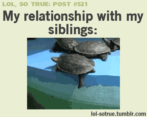 sister gifs funny - Lol, So True Post My relationship with my siblings lolsotrue.tumblr.com