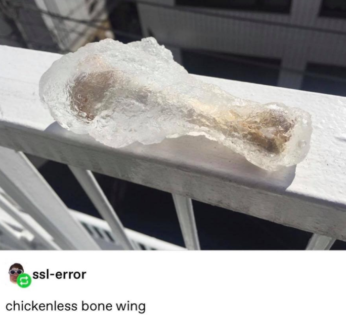 chickenless bones meme - sslerror chickenless bone wing