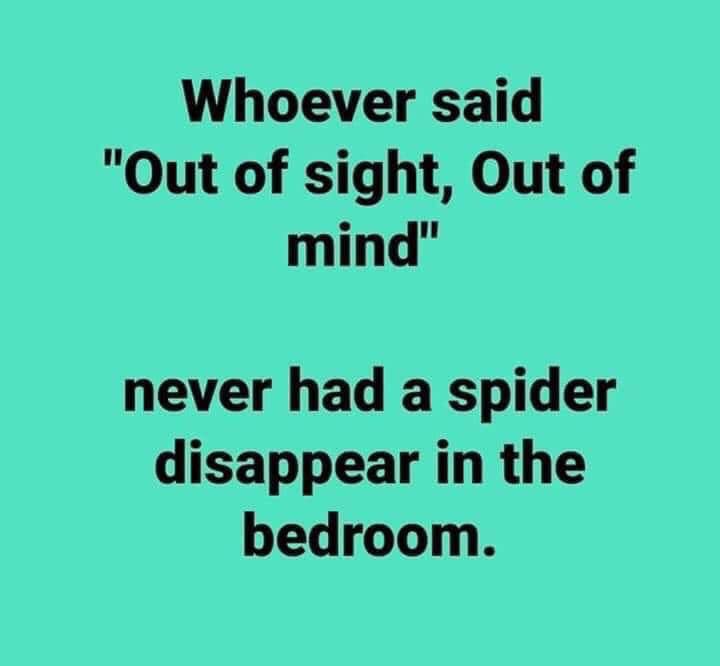 mind your head sign - Whoever said "Out of sight, Out of mind" never had a spider disappear in the bedroom.