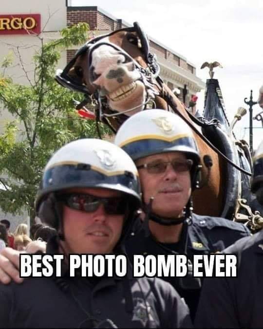 Rgo a Best Photo Bomb Ever
