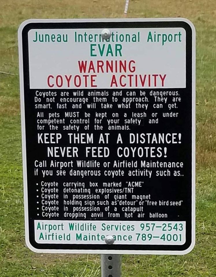 juneau airport coyote sign - Juneau International Airport Evar Warning Coyote Activity Coyotes are wild animals and can be dangerous. Do not encourage them to approach. They are smart, fast and will take what they can get. All pets Must be kept on a leash