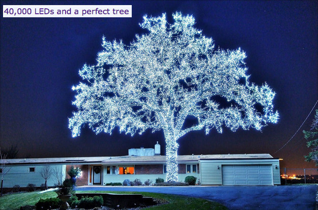 40,000 LEDs and a perfect tree