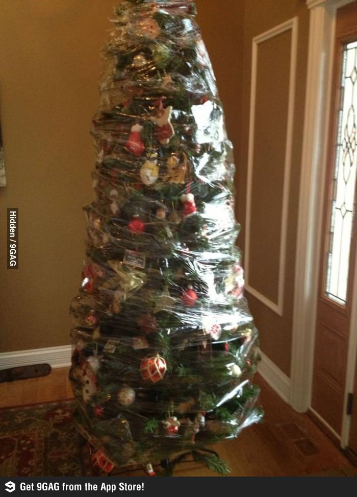 cat proof christmas tree - Hidden 9GAG 9 Get 9GAG from the App Store!