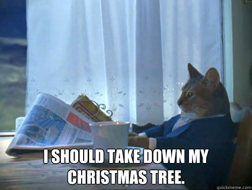 cat i should buy a boat - I Should Take Down My Christmas Tree. quickmeme.com