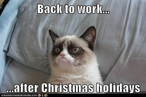after christmas meme - Back to work... ...after Christmas holidays Iganhascheezburger.Com