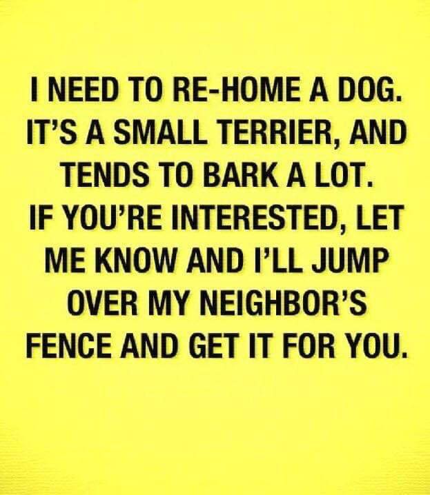 handwriting - I Need To ReHome A Dog. It'S A Small Terrier, And Tends To Bark A Lot. If You'Re Interested, Let Me Know And I'Ll Jump Over My Neighbor'S Fence And Get It For You.