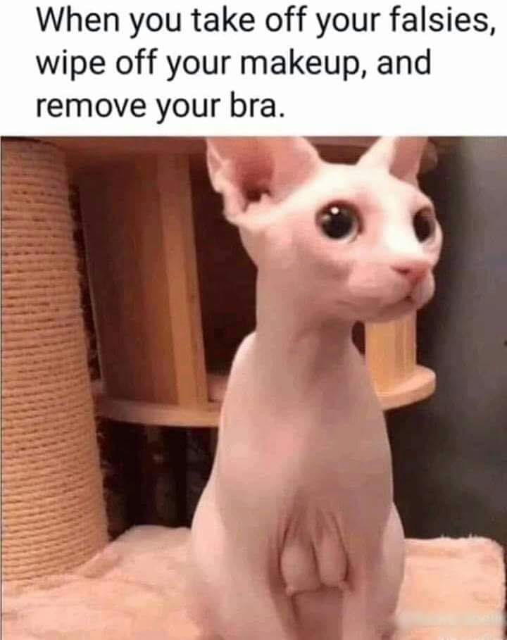 cat tiddies - When you take off your falsies, wipe off your makeup, and remove your bra.