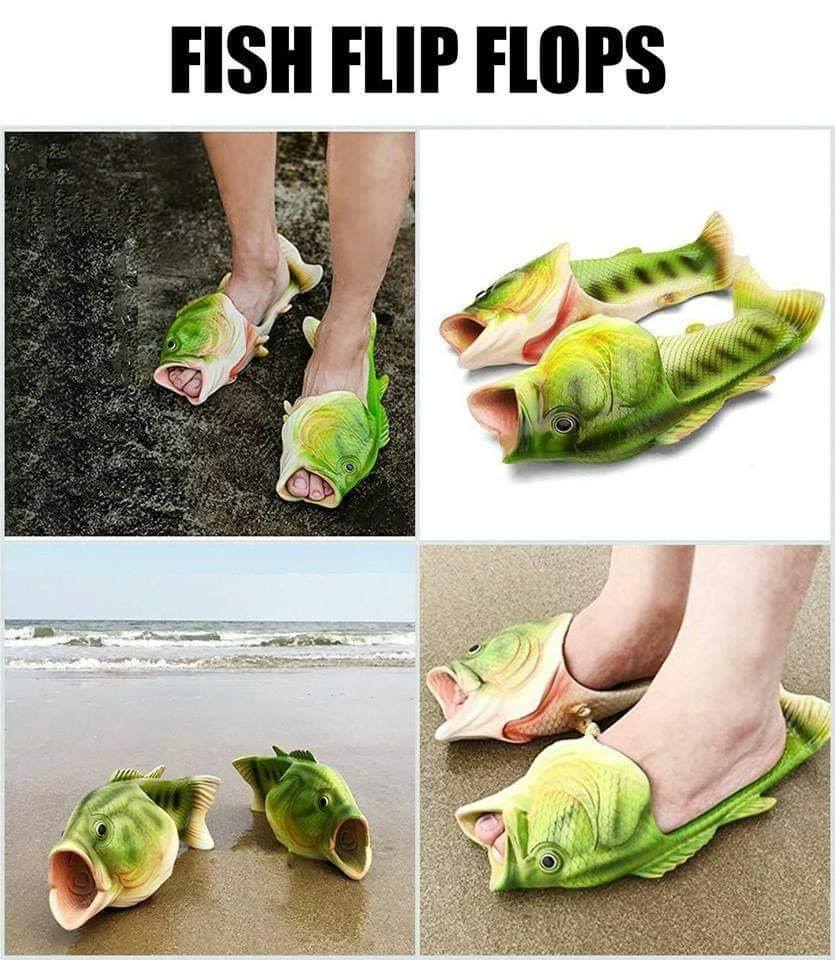 fish flip flop meme - Fish Flip Flops lou