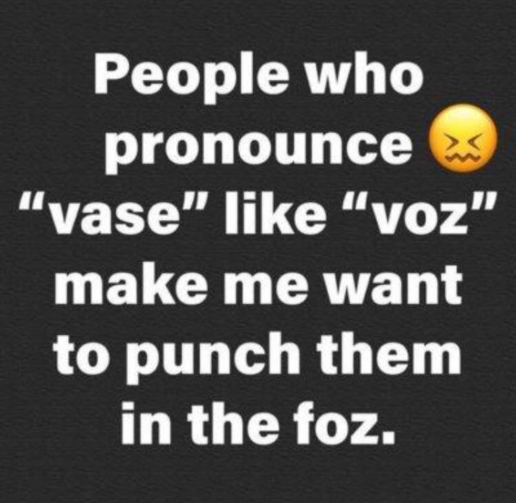photo caption - People who pronounce "vase" "voz" make me want to punch them in the foz.