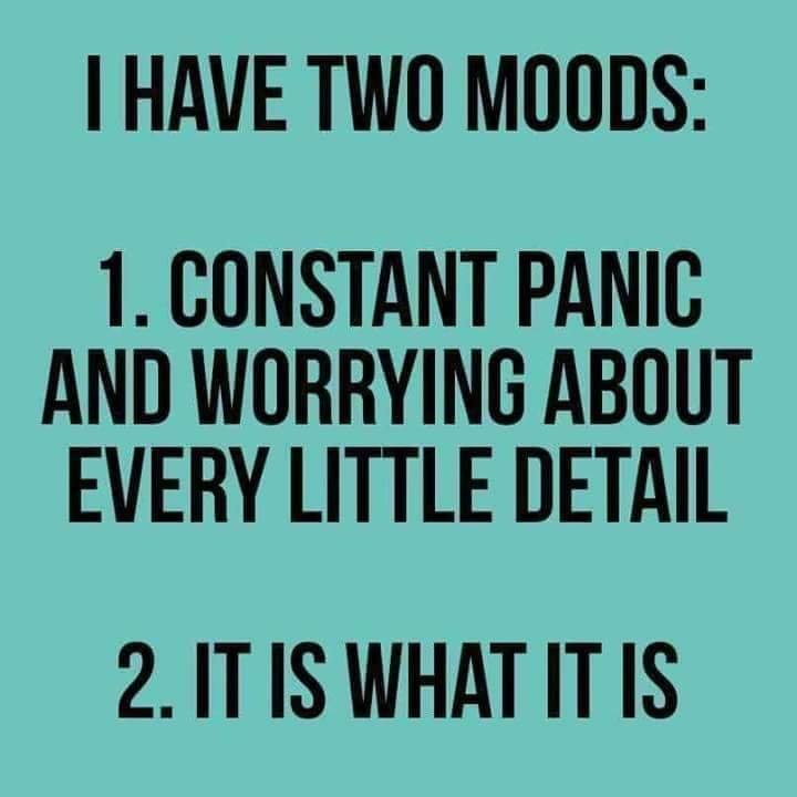 quotes adulting meme - I Have Two Moods 1. Constant Panic And Worrying About Every Little Detail 2. It Is What It Is